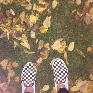 Meet your Posher, Amiya